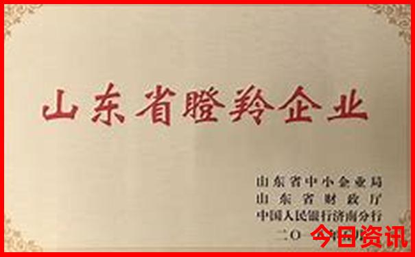 金华十大著名景点